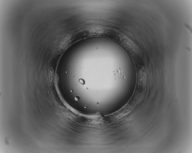 X0000097290463200802151419
