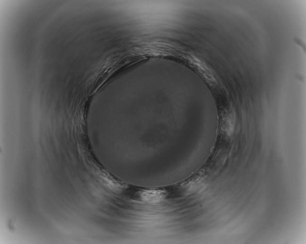X0000097290465200802151419