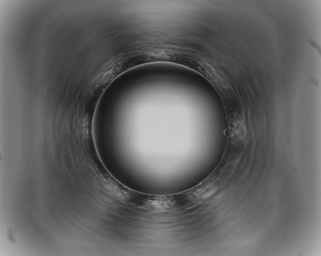 X0000097290466200802151419