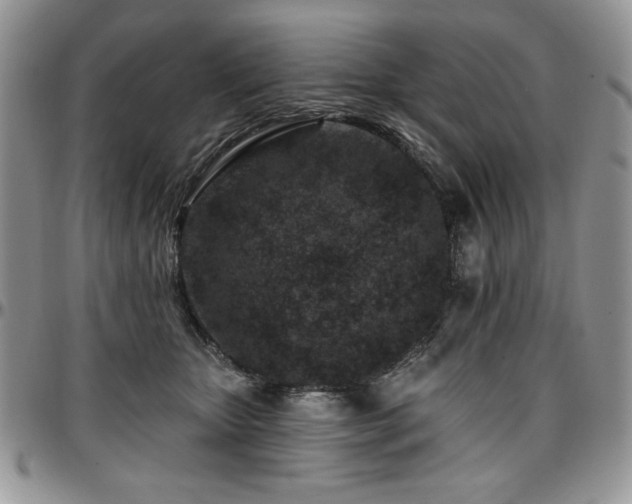 X0000097290467200802151419