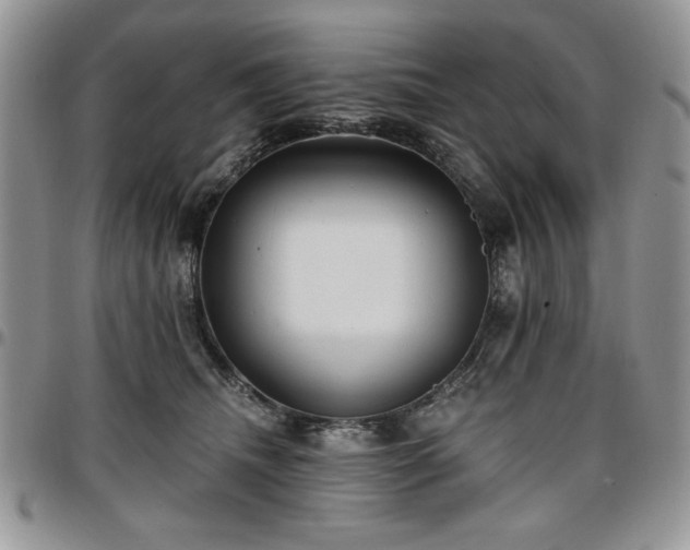 X0000097290468200802151419
