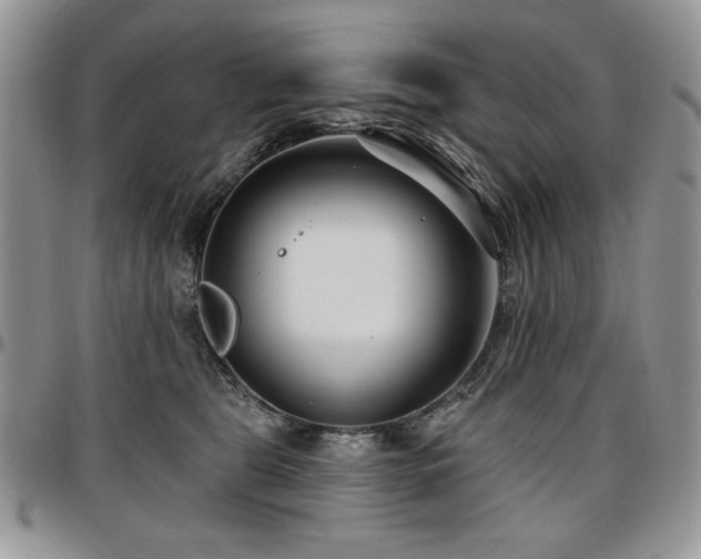 X0000097290469200802151419