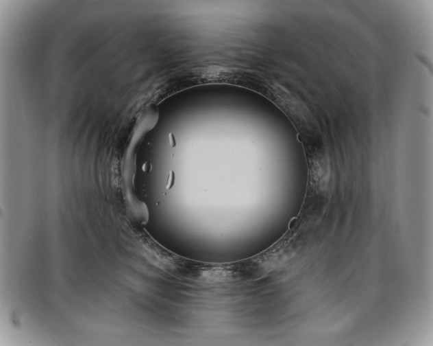 X0000097290470200802151419
