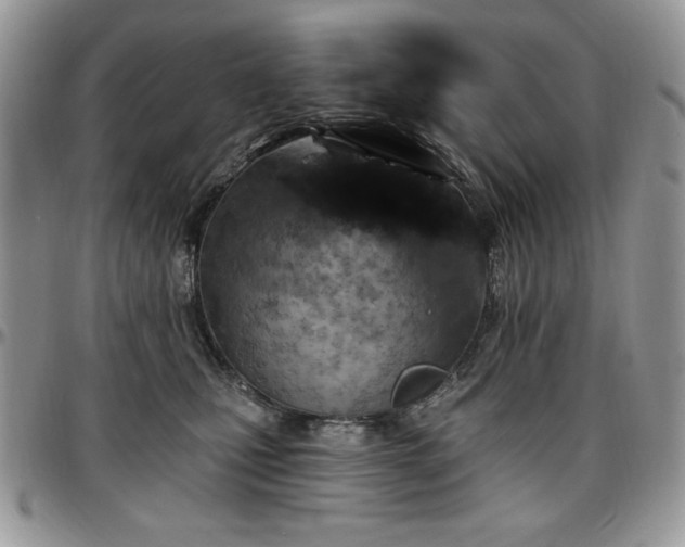 X0000097290471200802151419