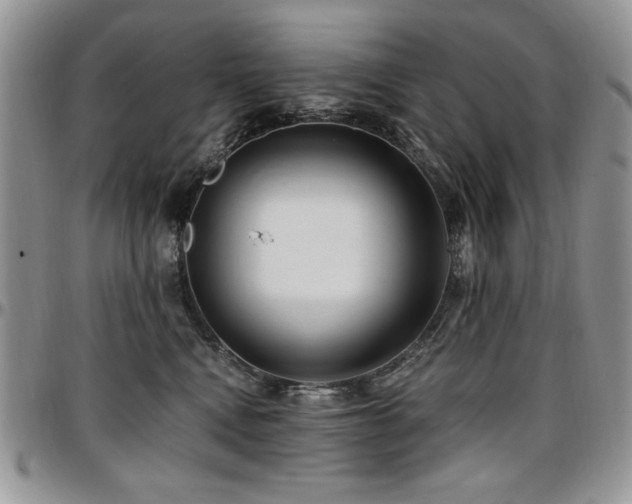 X0000097290472200802151419
