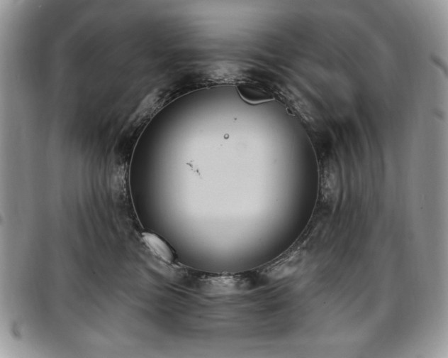 X0000097290473200802151419