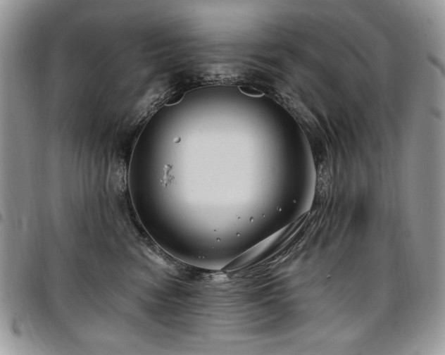 X0000097290474200802151419