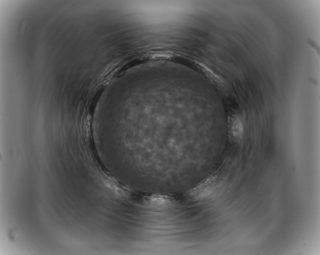 X0000097290475200802151419