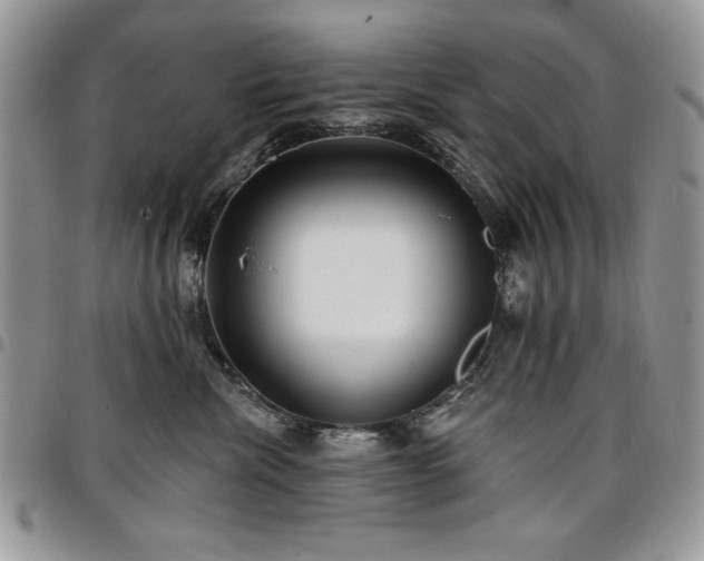 X0000097290476200802151419