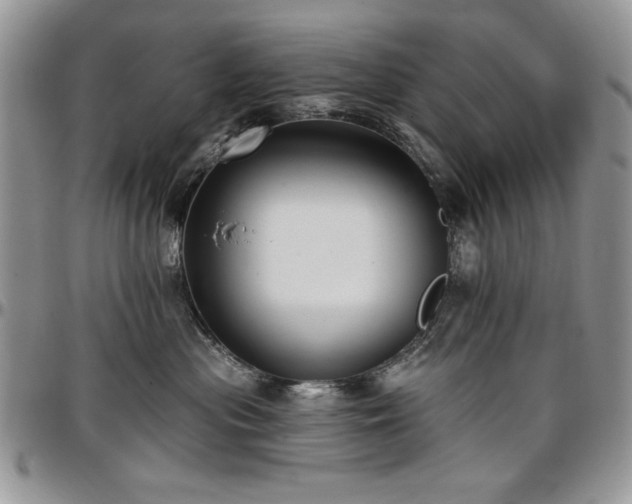 X0000097290477200802151419