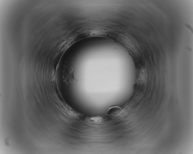 X0000097290478200802151419