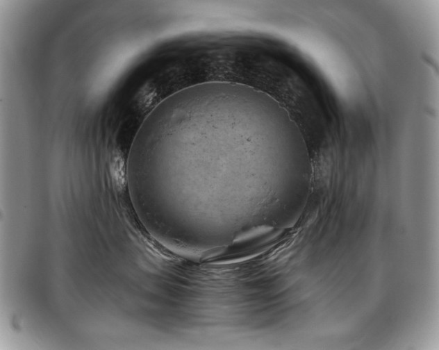 X0000097290479200802151419