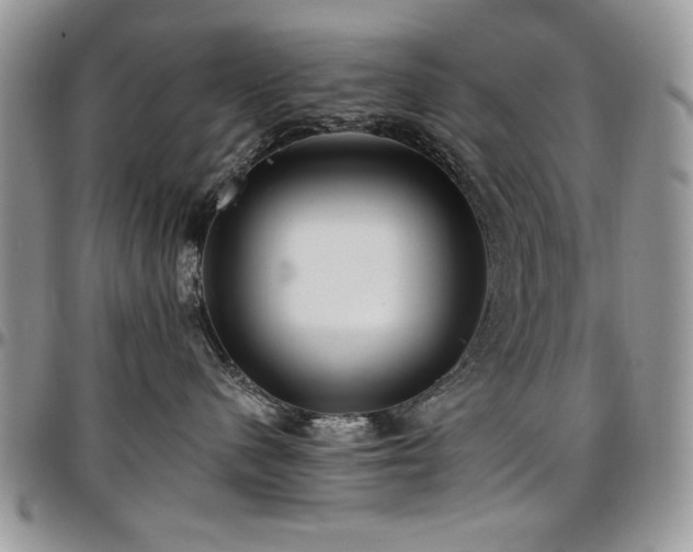 X0000097290480200802151419