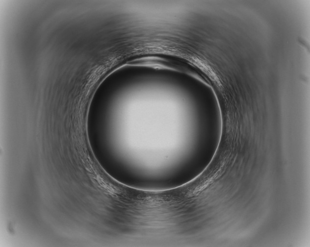 X0000097290481200802151418