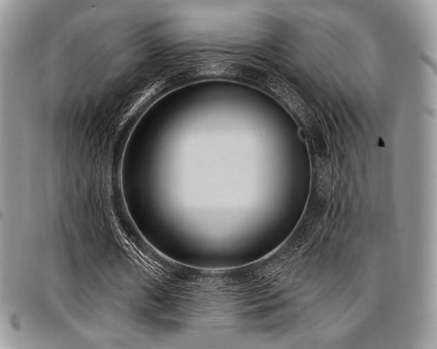 X0000097290482200802151418