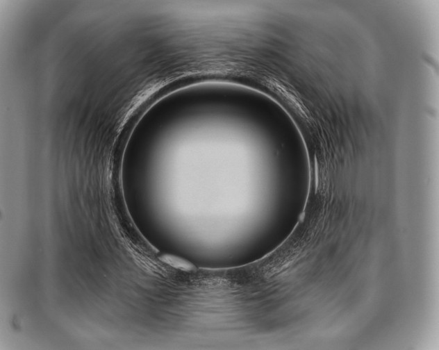 X0000097290483200802151418
