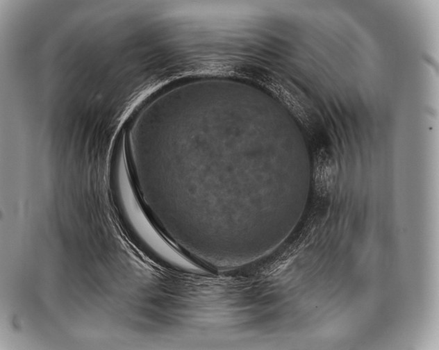 X0000097290484200802151418