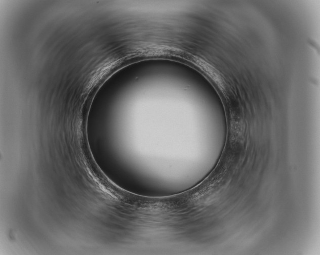 X0000097290485200802151418