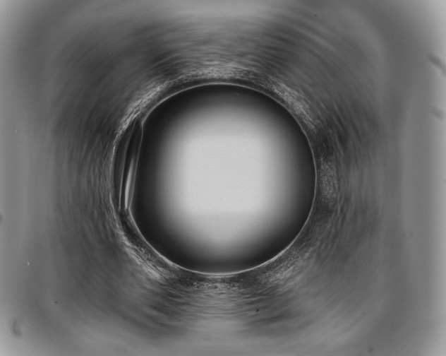 X0000097290486200802151418