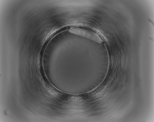 X0000097290487200802151418