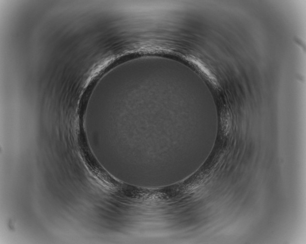 X0000097290488200802151418