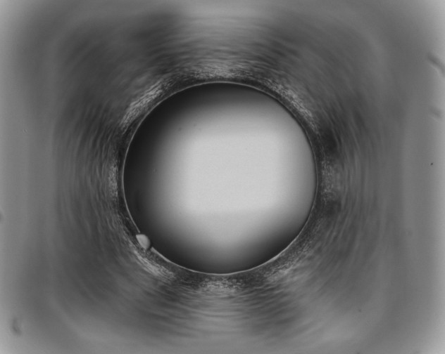 X0000097290489200802151418