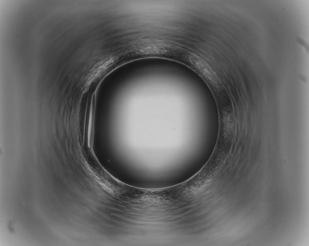 X0000097290490200802151418