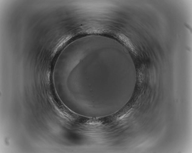 X0000097290491200802151418