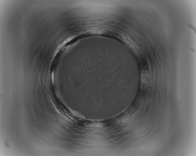 X0000097290492200802151418