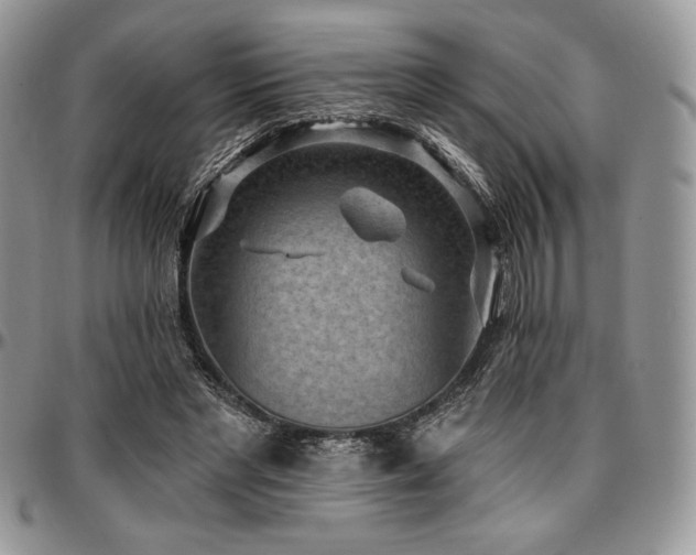 X0000097290493200802151418