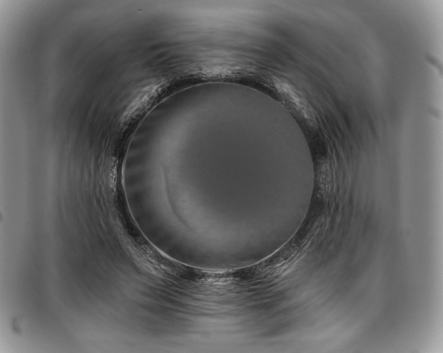 X0000097290495200802151418