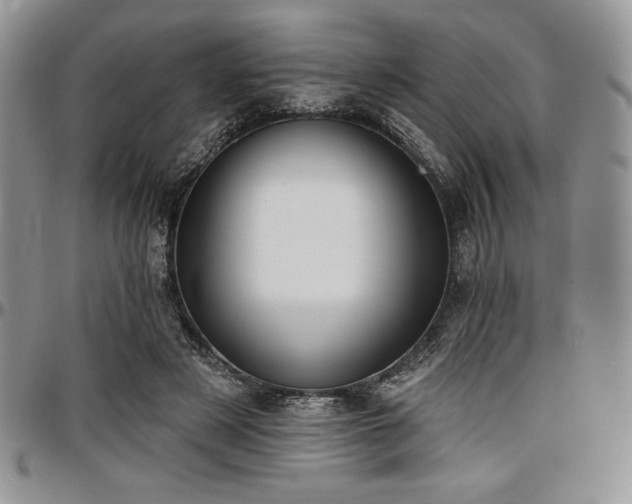 X0000097290497200802151418