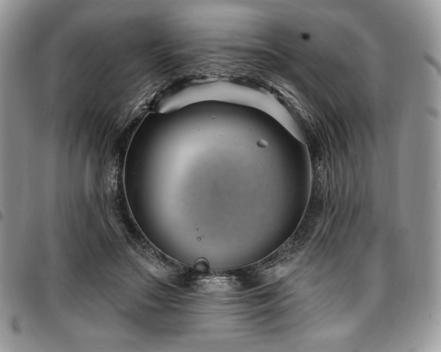 X0000097290499200802151418