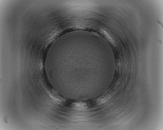 X0000097290500200802151418