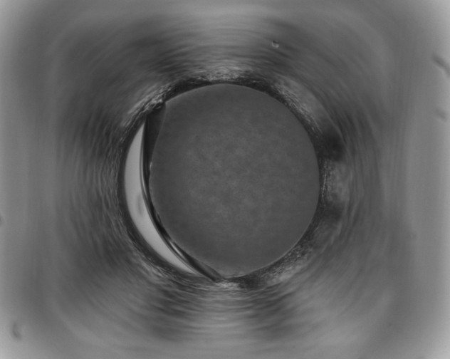 X0000097290501200802151418