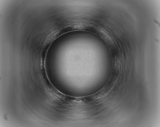 X0000097290502200802151418