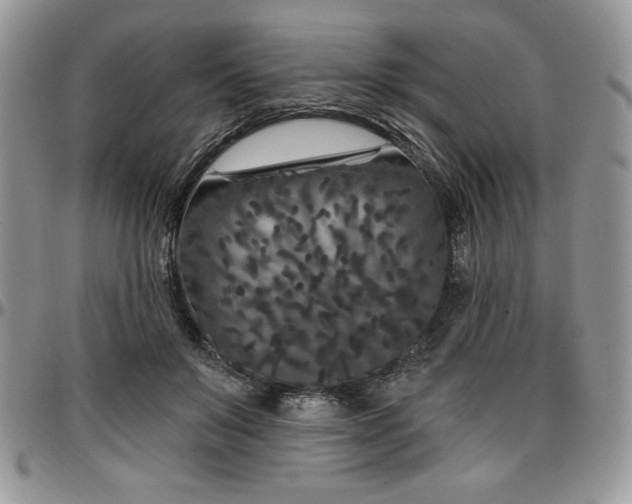 X0000097290503200802151418