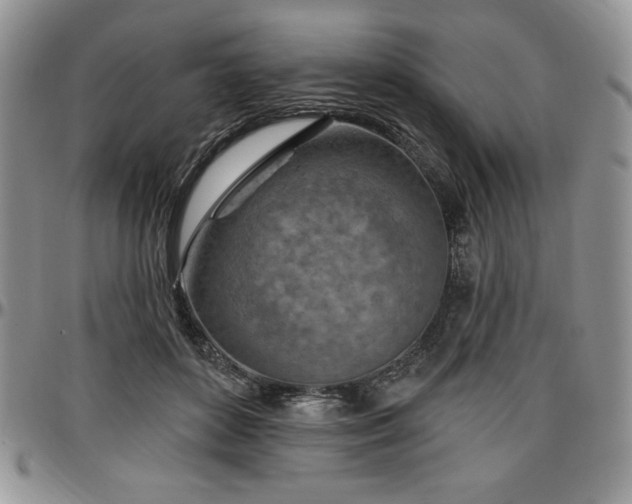 X0000097290504200802151418