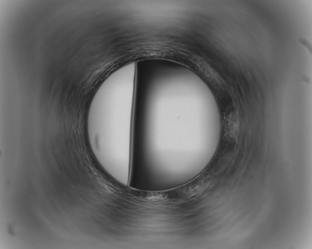 X0000097290505200802151418