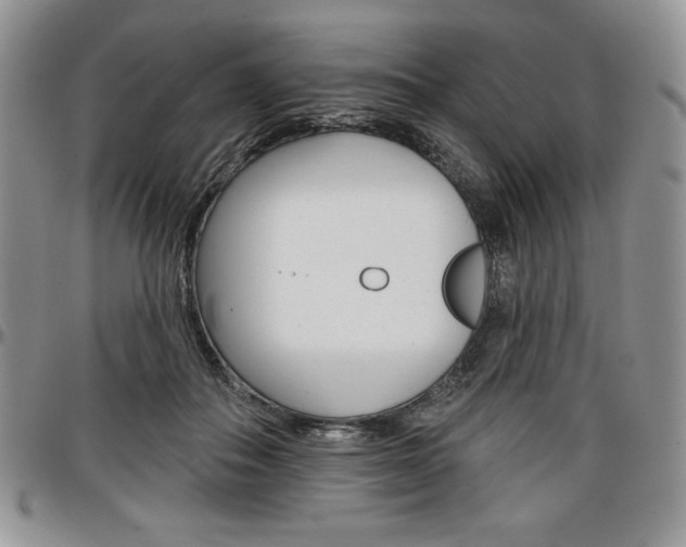 X0000097290506200802151418