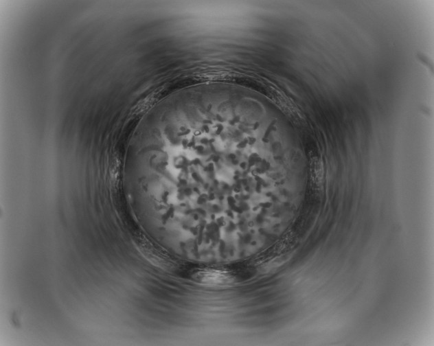 X0000097290507200802151418