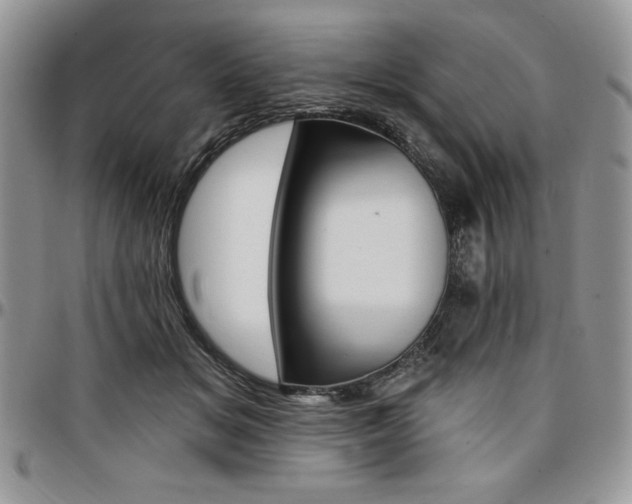 X0000097290509200802151418
