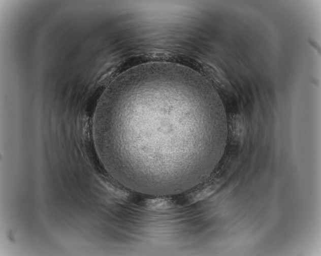 X0000097290511200802151418