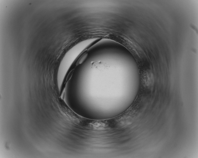 X0000097290512200802151418