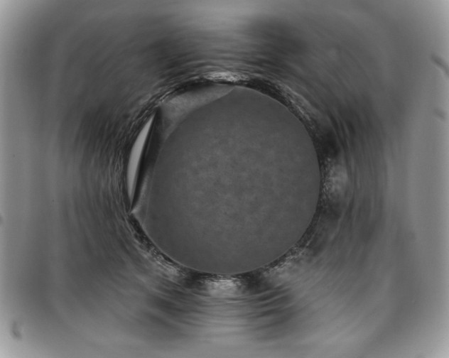 X0000097290513200802151418