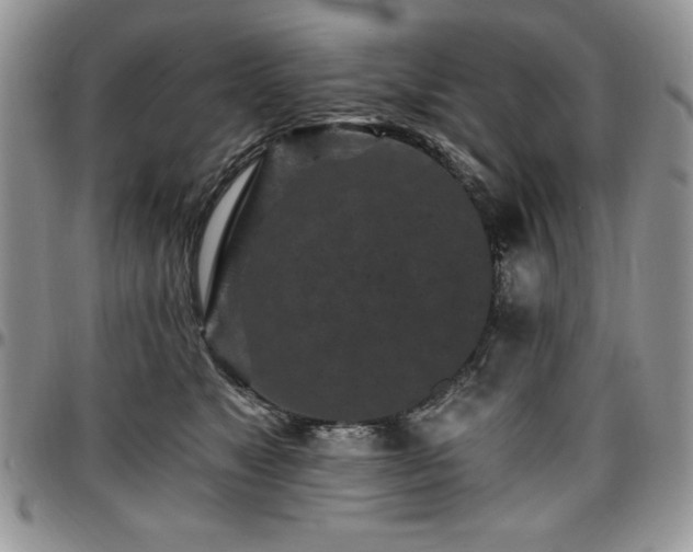 X0000097290517200802151418