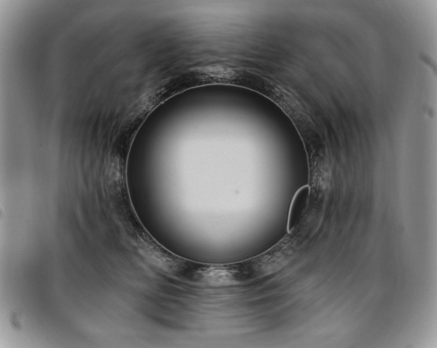 X0000097290518200802151418