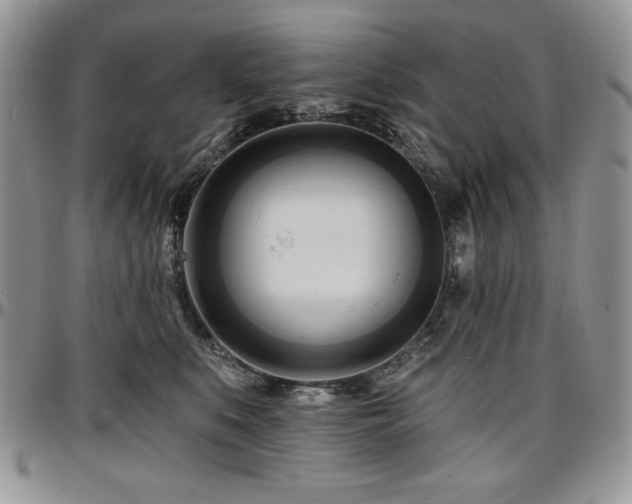 X0000097290519200802151418