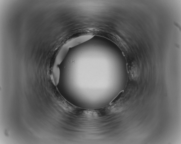 X0000097290520200802151418