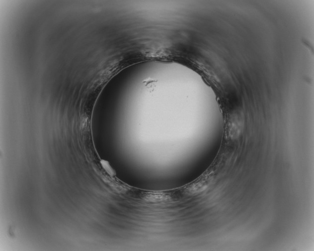 X0000097290521200802151418